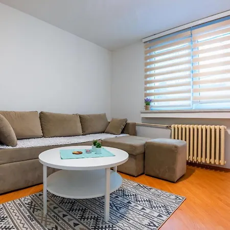 Studio Center Of Apartment *